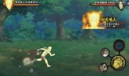 鸣人爆料哪里看视频,独家视频观看指南大公开