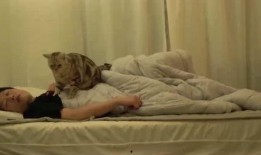 床叫视频在线观看,床叫视频在线观看，揭秘私密情感世界