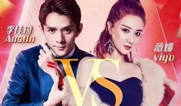 央视爆料薇娅视频大全集,视频大全集背后的真相与影响力