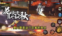 返场b忍者爆料最新,揭秘忍者世界新篇章